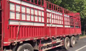 旭東PVC圍擋批發(fā)直供龍崗工地，2500米圍擋當(dāng)天閃電送達(dá)